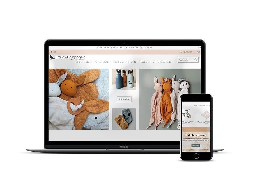 Agence Shopify à Aix en Provence 13 - Agence Shopify Plus & Expert Shopify