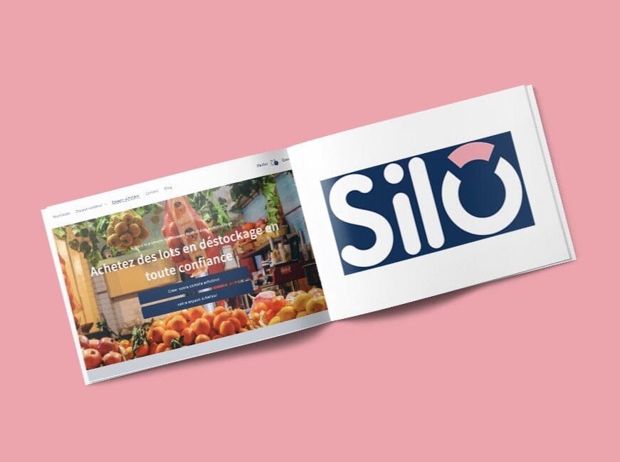 Développement d'une Marketplace sur mesure avec Shopify - Agence Shopify Plus & Expert Shopify