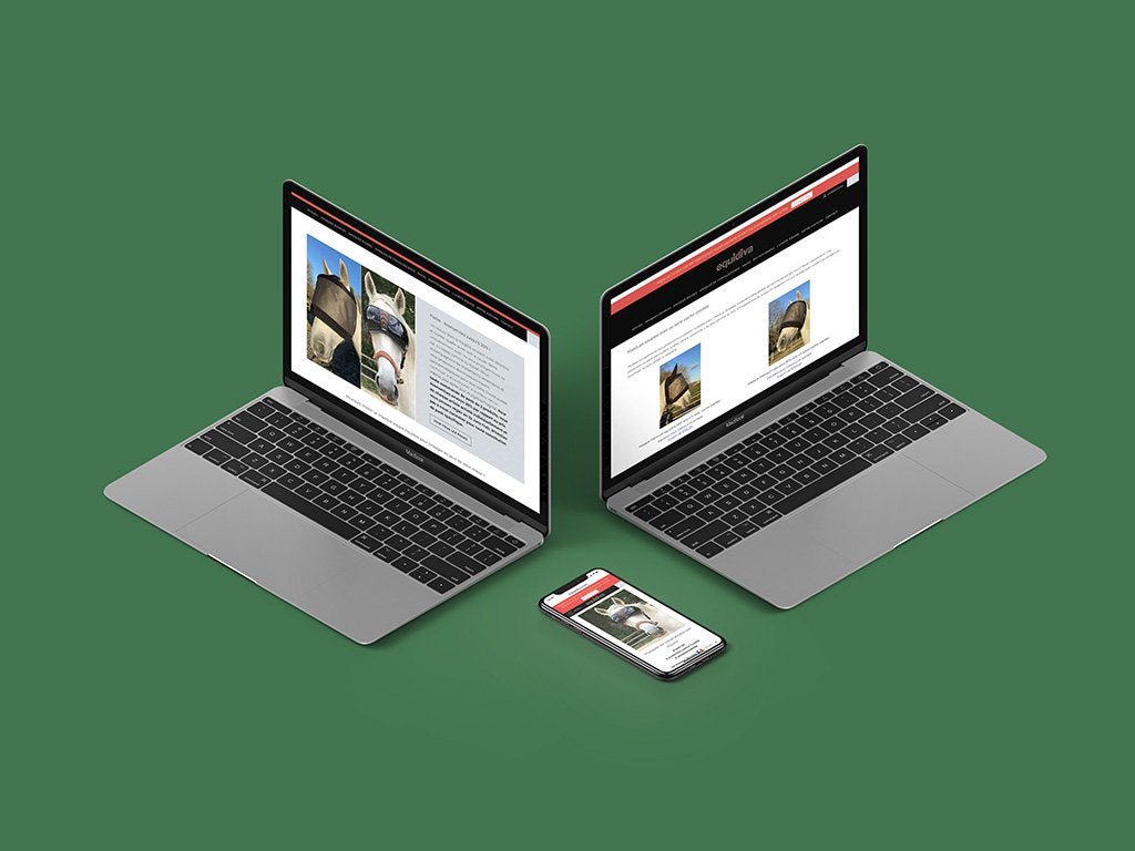Equidiva.com Elaboration d'une stratégie e - marketing - Agence Shopify Plus & Expert Shopify