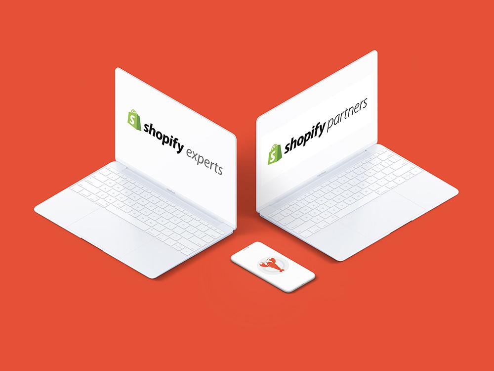 Tout sur la création de site shopify - Agence Shopify Plus & Expert Shopify