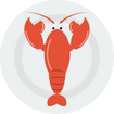 LobsTTer Agence certifiée Expert par Shopify N1 en France
