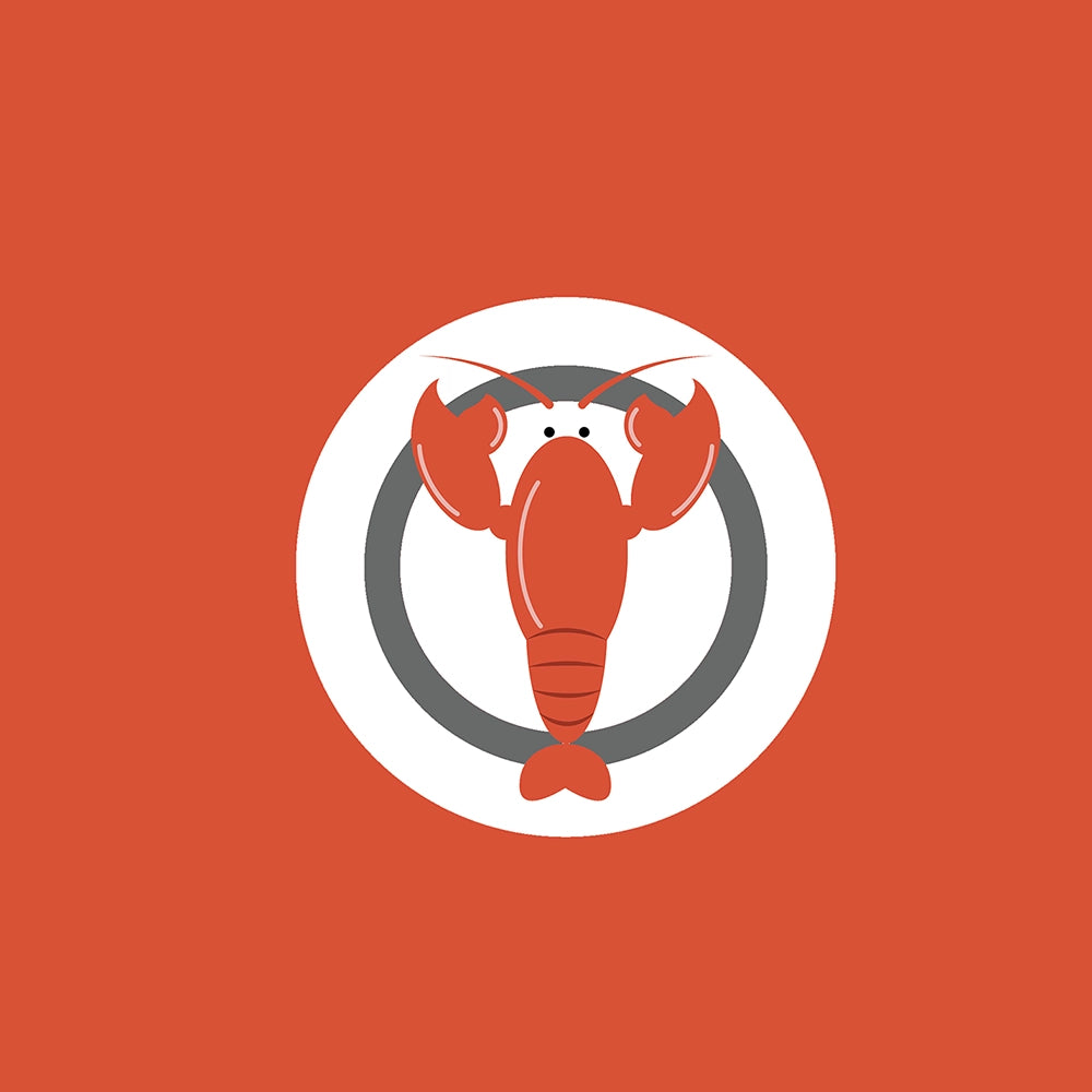 LobsTTer agence shopify pour votre identité visuelle